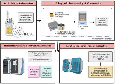 High-throughput screening of the effects of 90 xenobiotics on the simplified human gut microbiota model (SIHUMIx): a metaproteomic and metabolomic study
